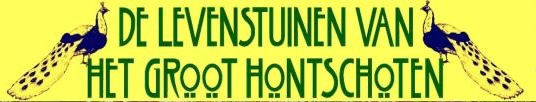 Tuinonderhoud